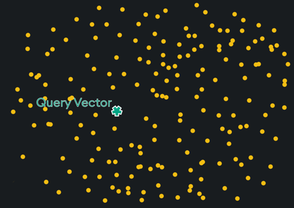 Query Vectors