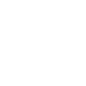 Engine AI